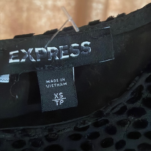 Express Velvet Puff Sleeve Fit and Flare Dress - Picture 2 of 7